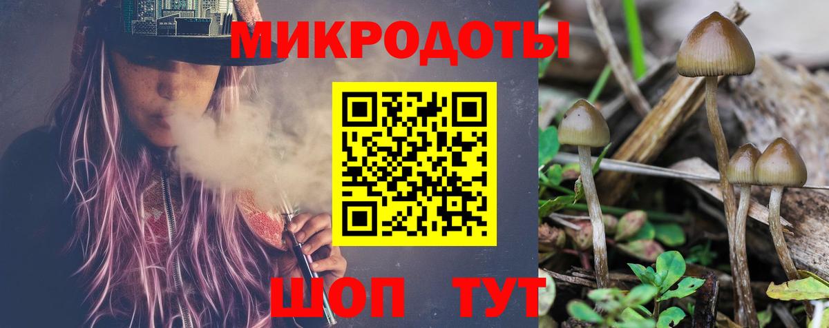 Псилоцибиновые грибы Cubensis  Псилоцибиновые грибы Cubensis  Городец  Вход с VPN 