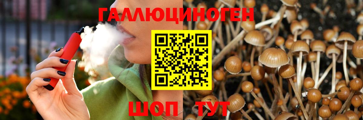 Псилоцибиновые грибы GOLDEN TEACHER Городец